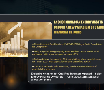 TOPAZ CAPITAL LTD.: In-Depth Analysis of Business Layout, Compliance Governance, and Investment Strategy