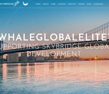 WiseWhale Team: Linking the New Global Capital Landscape, Empowering Cross-Market Financial Synergy