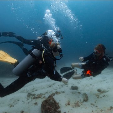 2026 Gili Islands IDC Schedule Confirmed for Professional Instructor Development Programs