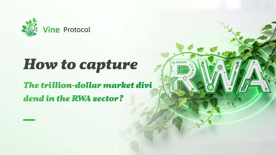 Vine Protocol : A new engine for the RWA sustainability track, how to capture trillion-dollar market dividends?