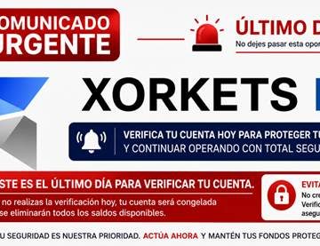 XORKETS FX: We Will Give It Our All