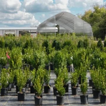 Simply Trees Order Data Shows Spring Outpaces Fall for Tree Planting in Every State